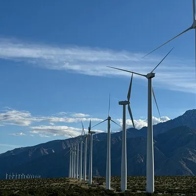 Palm Springs Windmill Guided Tour by Golf Cart