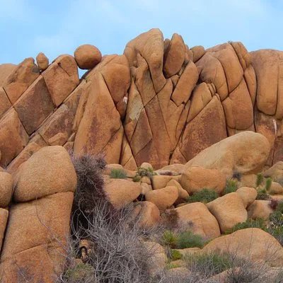 Joshua Tree National Park